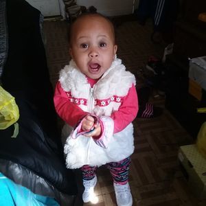 Meet your Posher, Gemini